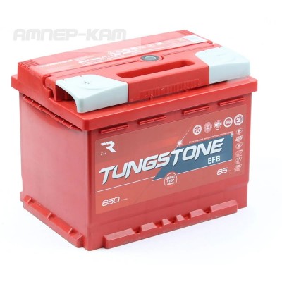 Аккумулятор TUNGSTONE EFB 6СТ-65.1