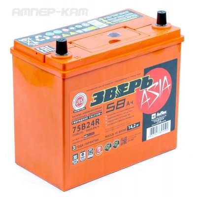 Аккумулятор ЗВЕРЬ Asia 6СТ-58.1 LЗУ (75B24R) тонк.кл.